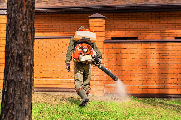 Trusted Mosquito Control service in Redwood, OR - Nex Pest Control